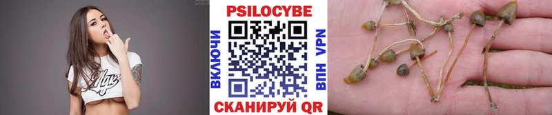 Галлюциногенные грибы Cubensis  Купить закладки  Южноуральск 